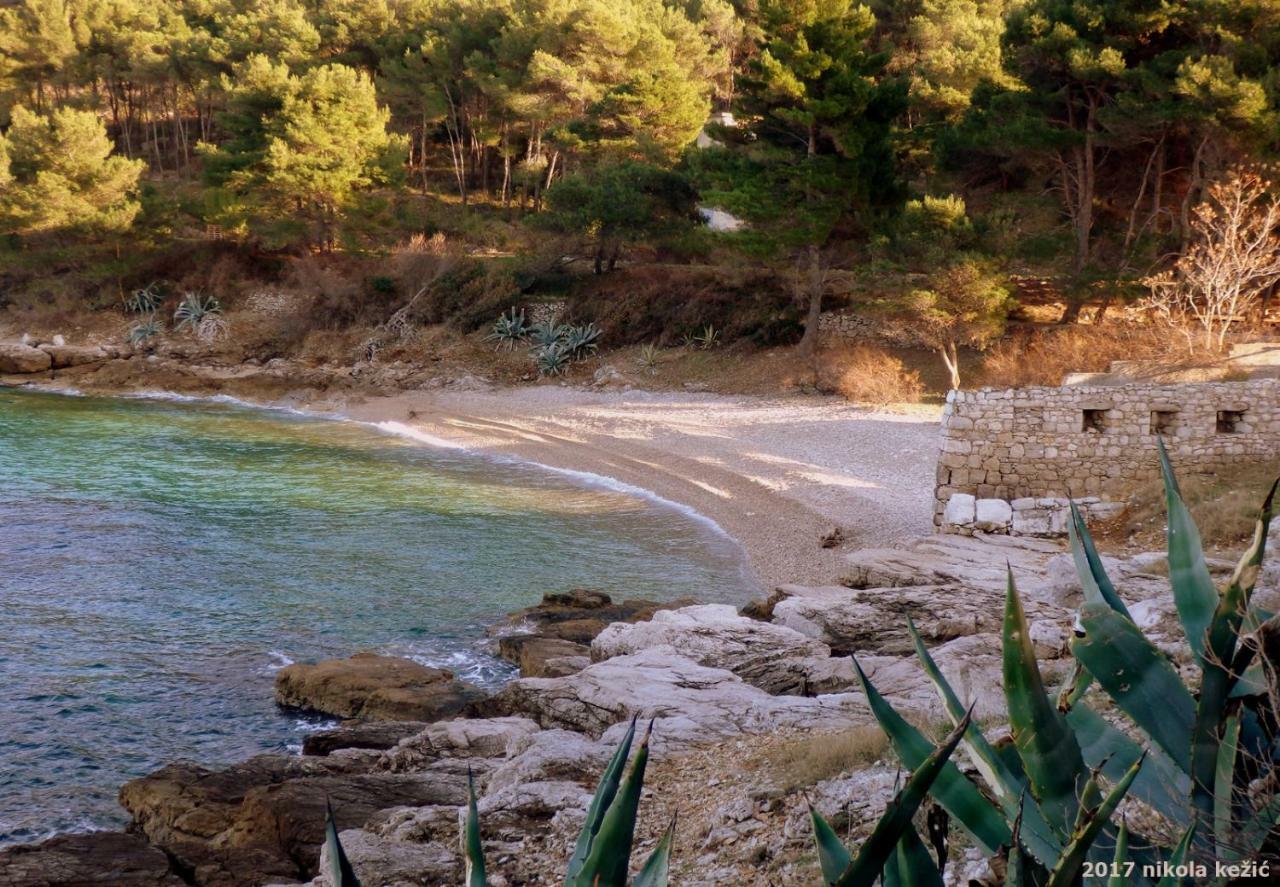Guesthouse Torga Vis Island Екстер'єр фото